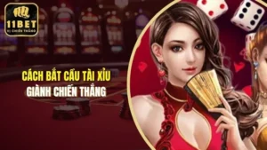 bắt cầu tài xỉu